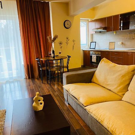 Eclipse Apartment Free Parking Κλουζ-Ναπόκα Εξωτερικό φωτογραφία