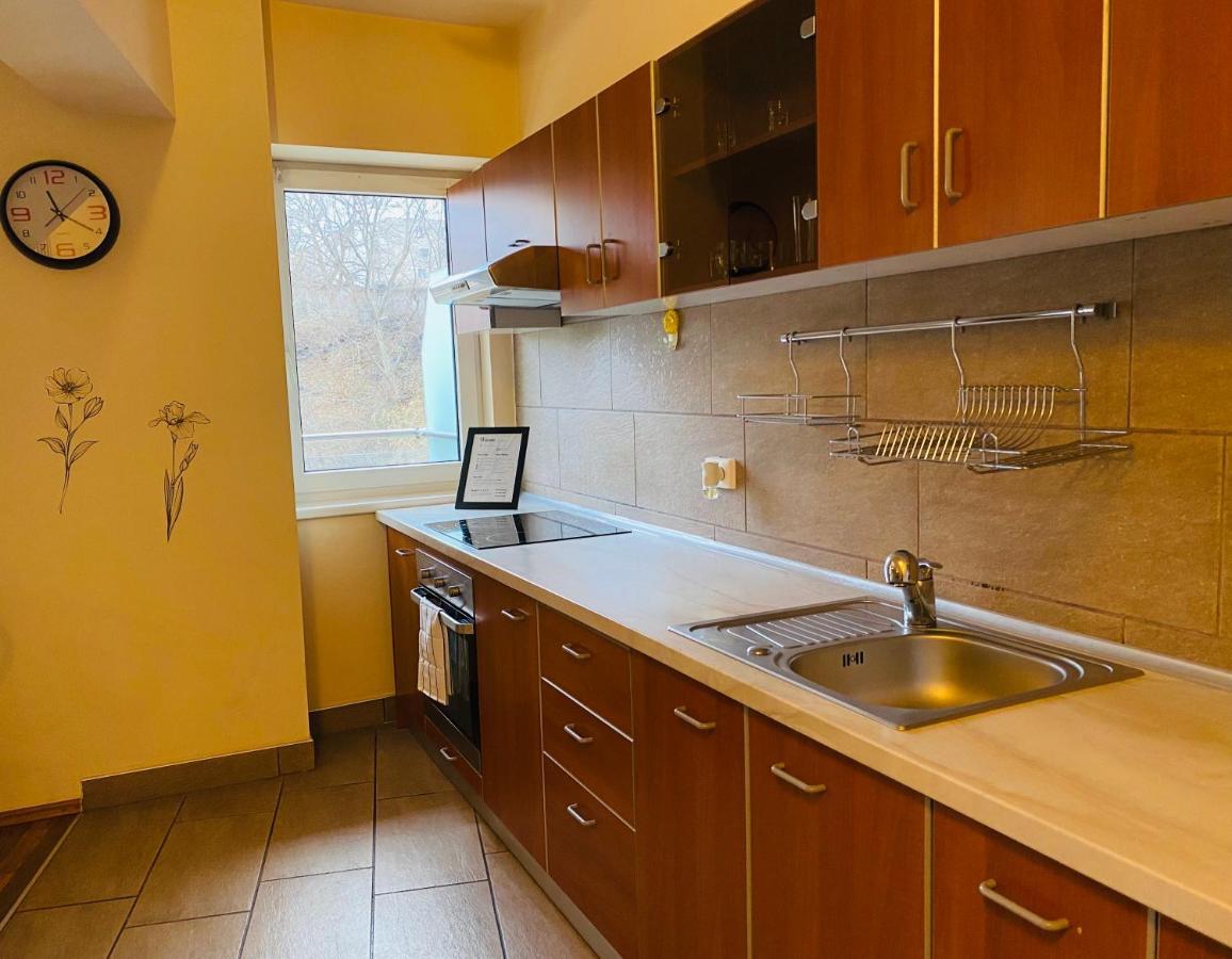 Eclipse Apartment Free Parking Κλουζ-Ναπόκα Εξωτερικό φωτογραφία